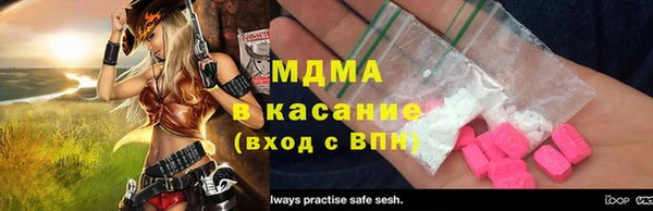 хмурый Аркадак