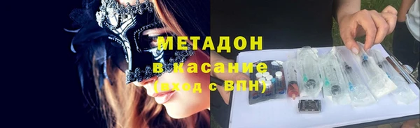 хмурый Аркадак