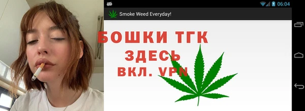 хмурый Аркадак
