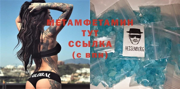 хмурый Аркадак