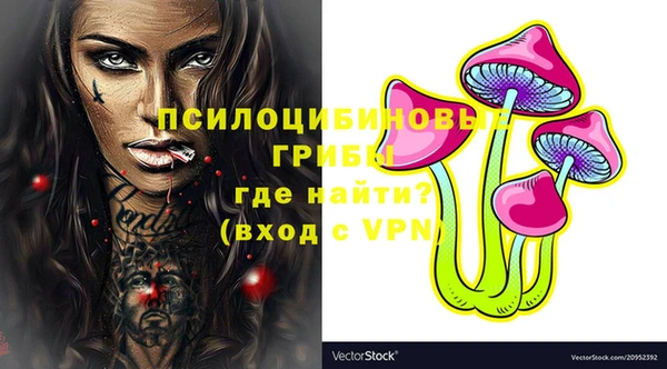 гашик Арсеньев