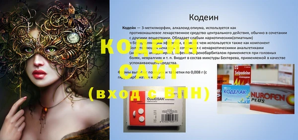 гашик Арсеньев