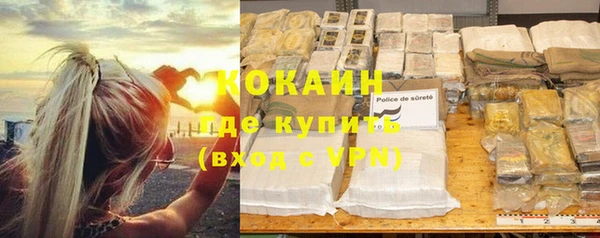 гашик Арсеньев