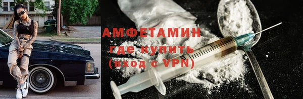 хмурый Аркадак