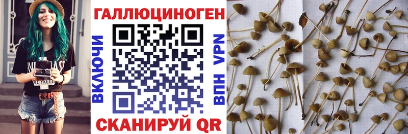 Псилоцибиновые грибы мухоморы  магазин продажи наркотиков  Хвалынск 